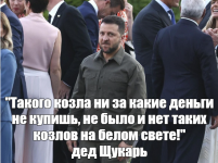 изображение_2024-07-31_225926252.png