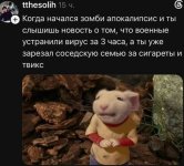 21328332.jpg