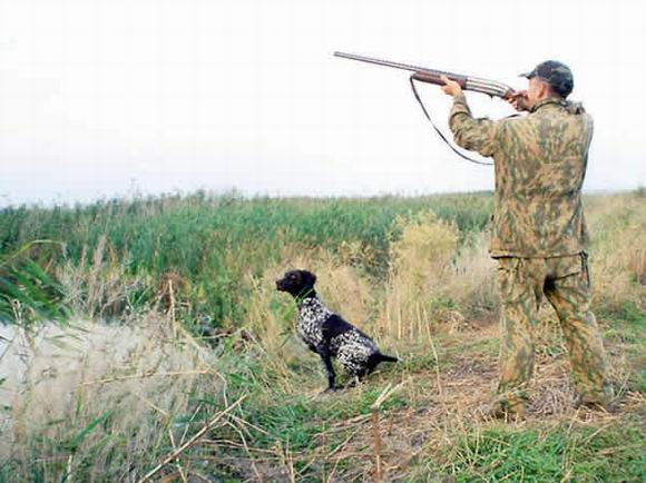 Основные правила безопасности при обращении с охотничьим оружием